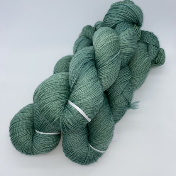Merino 04